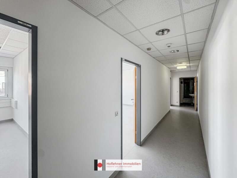 Büro in Wien - Bild 7