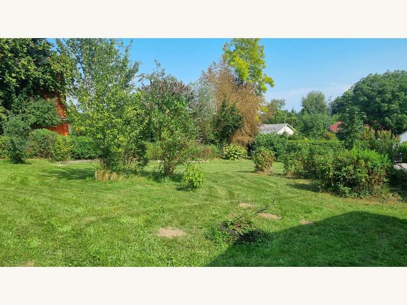 Baugrundstück in Vöcklabruck - Bild 2