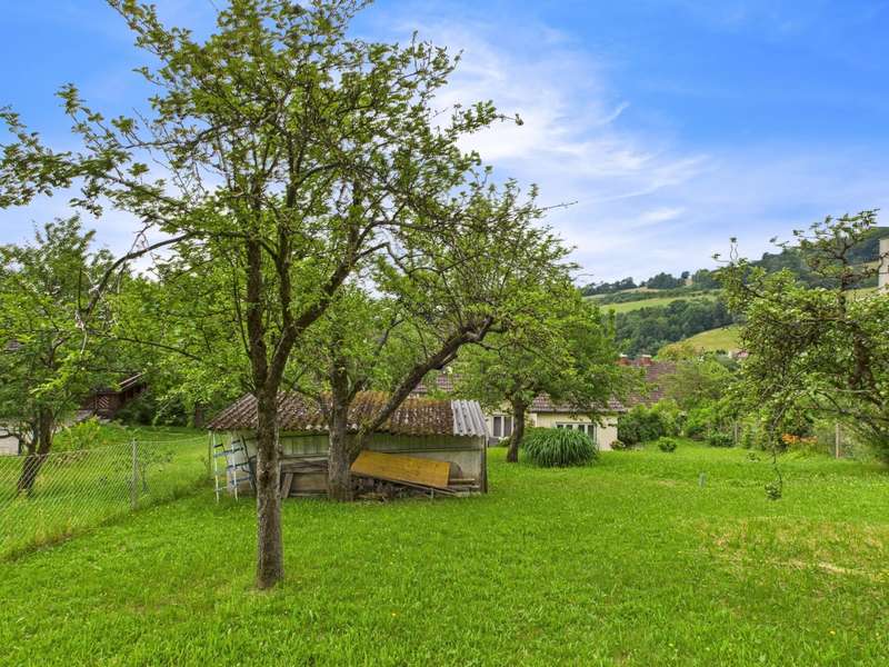 Einfamilienhaus Linz: CAM04191G0-PR0040-STILL008 CAM04191G0-PR0040-STILL008