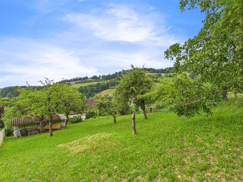 Einfamilienhaus Linz: CAM04191G0-PR0040-STILL010 CAM04191G0-PR0040-STILL010