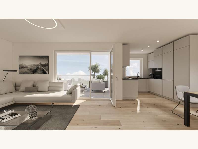 Lichtenberg Top 4_01