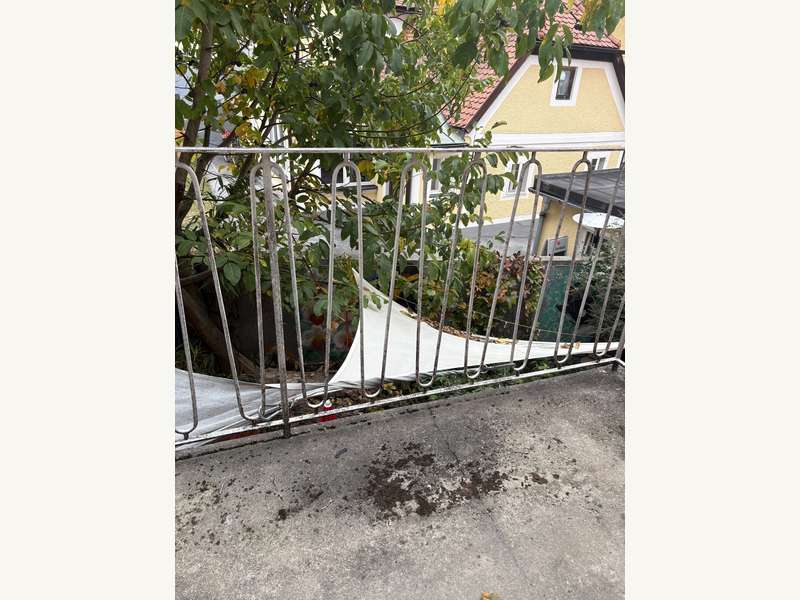Mietwohnung Graz: Balkon Balkon