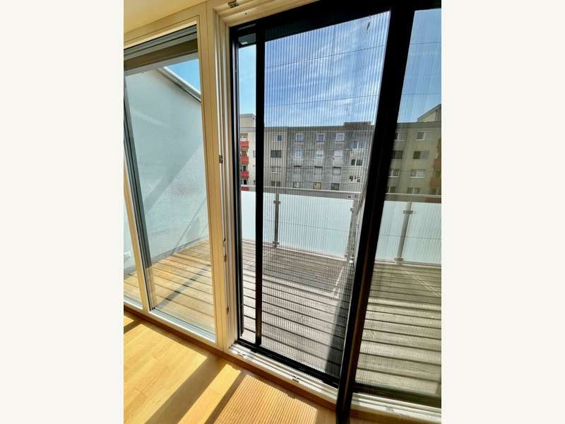 Penthouse Graz: Ausgang mit Fliegengitter-Tür Ausgang mit Fliegengitter-Tür