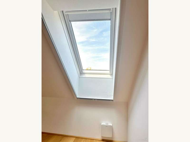 Penthouse Graz: Fenster mit Innen-Rollo und Fliegengitter Fenster mit Innen-Rollo und Fliegengitter