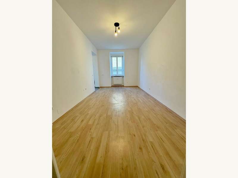 Wohn-/Essbereich mit offener Küche