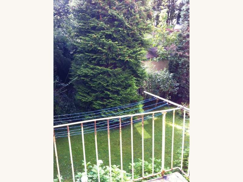 Mietwohnung Graz: Ausblick_vom_Balkon Ausblick_vom_Balkon