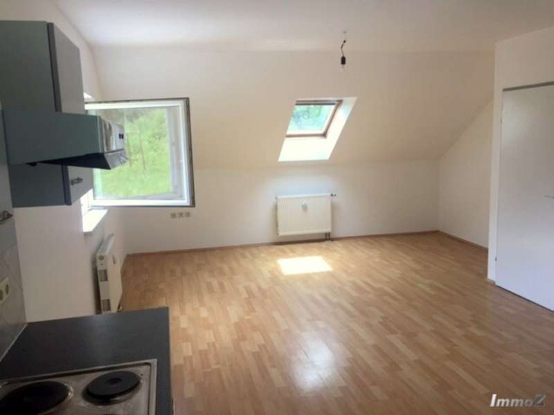 Wohn-Essbereich mit offener Küche