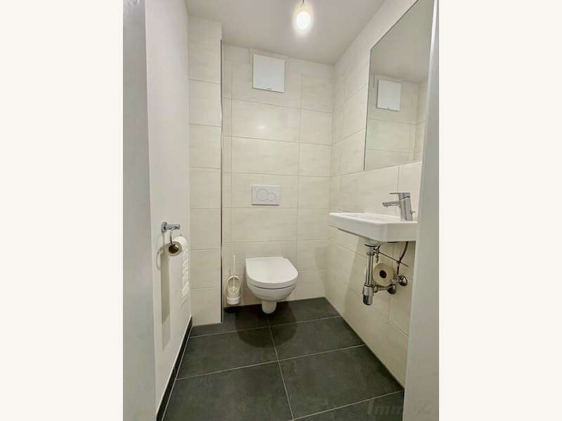 Penthouse Graz: WC mit Waschbecken WC mit Waschbecken