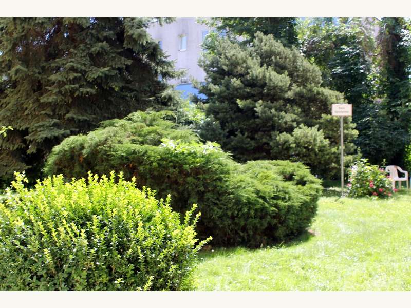 Eigentumswohnung Graz: Allgemeingarten Allgemeingarten