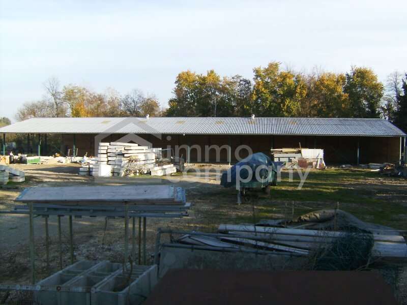 Renditeobjekt Kleinhaugsdorf: BILD1083 BILD1083