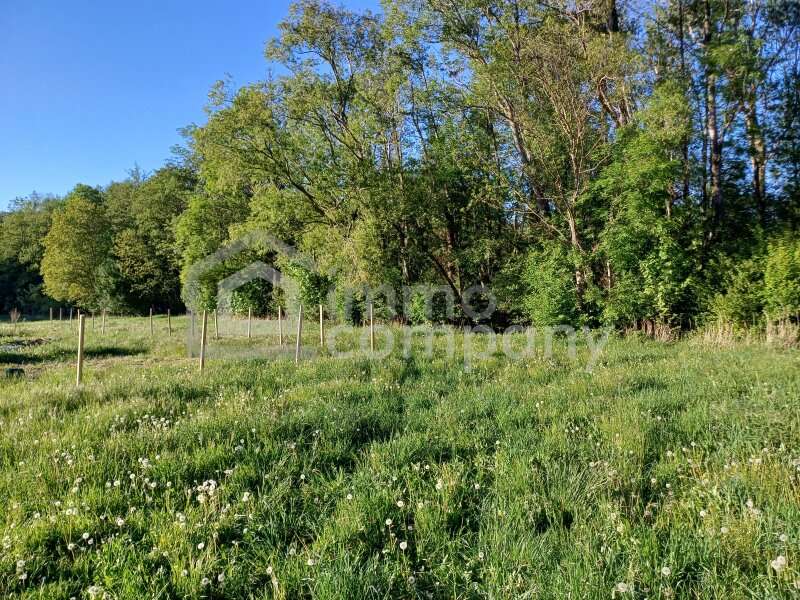Gartenbau in Willendorf - Bild 2 Gartenbau in Willendorf - Bild 2