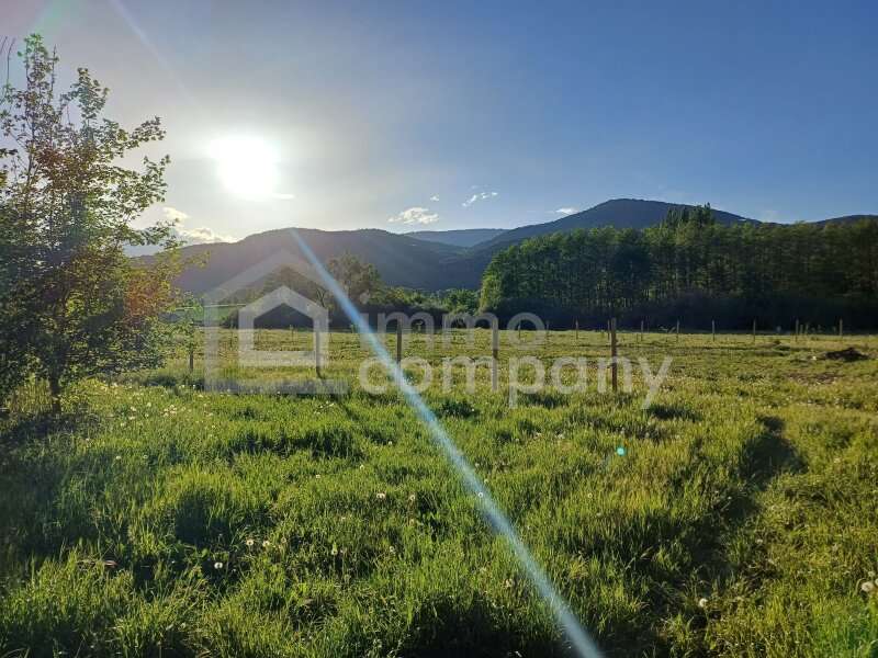Gartenbau in Willendorf - Bild 3 Gartenbau in Willendorf - Bild 3
