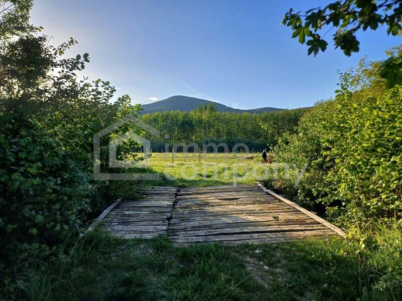 Gartenbau in Willendorf - Bild 4 Gartenbau in Willendorf - Bild 4