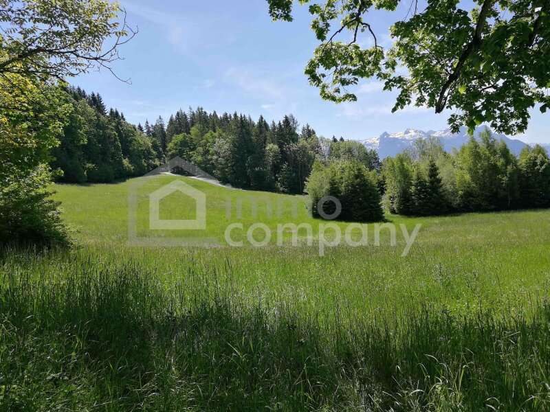 Landwirtschaft in Salzburg - Bild 3