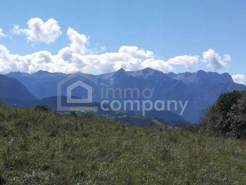 Landwirtschaft in Salzburg - Bild 4