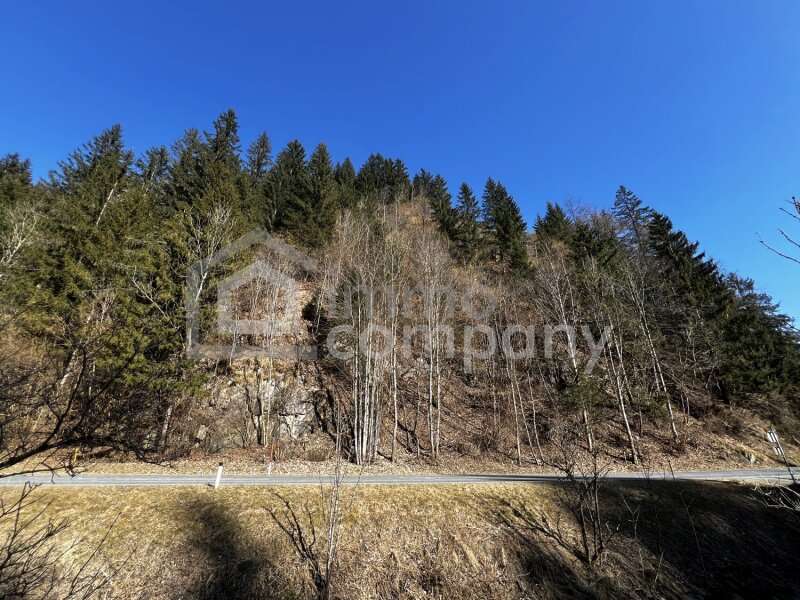 Forstwirtschaft in Hüttenberg - Bild 2 Forstwirtschaft in Hüttenberg - Bild 2