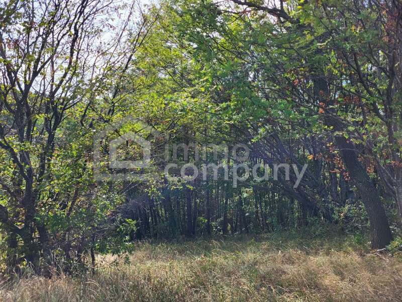 Landwirtschaft in Schwarzenbach - Bild 2