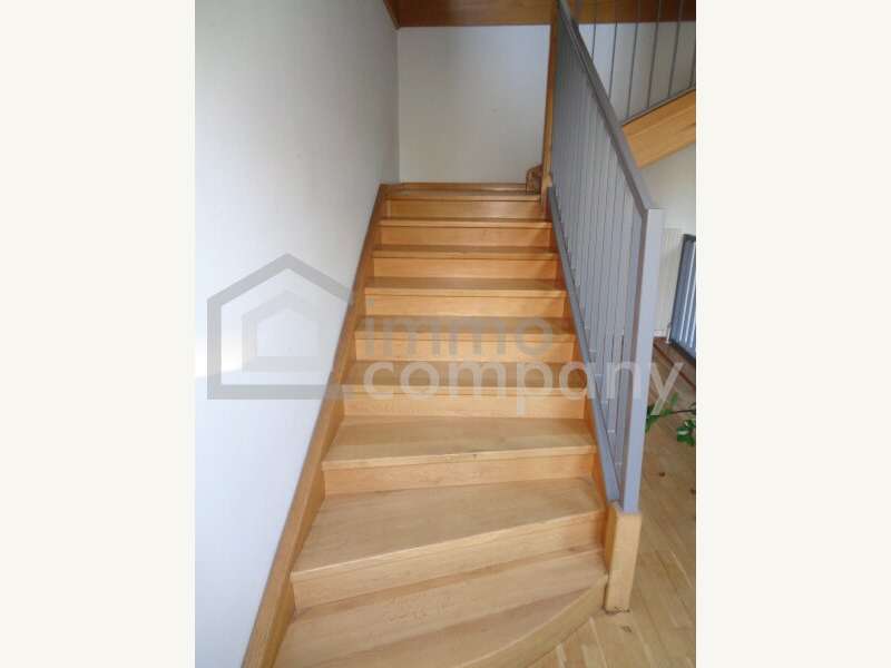 Halle in Hollabrunn - Bild 5