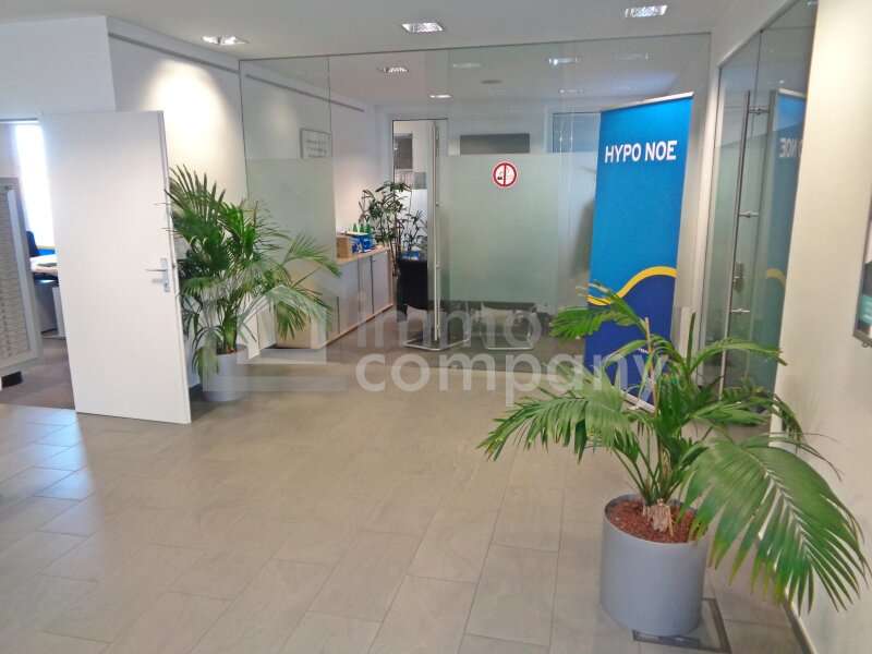 Halle in Hollabrunn - Bild 9