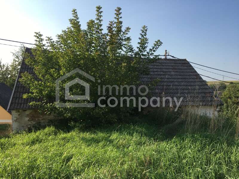 Gewerbeimmobilie in Maustrenk - Bild 9