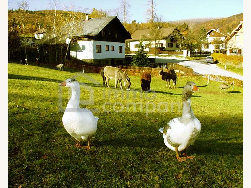 Gastgewerbe in St. Corona am Schöpfl - Bild 2 Gastgewerbe in St. Corona am Schöpfl - Bild 2