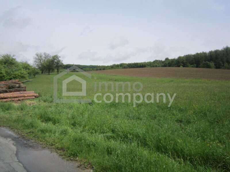 Baugrundstück Güssing: Bild 1 Bild 1