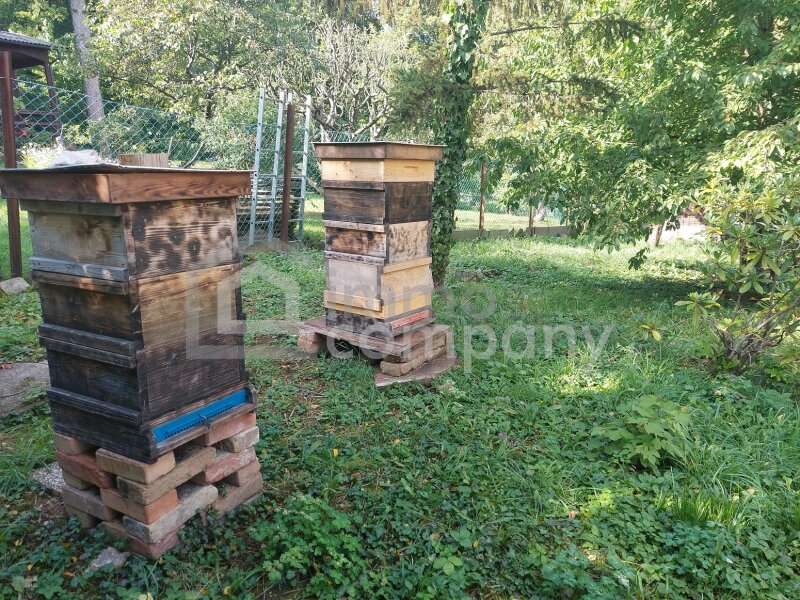 Baugrundstück in Wien - Bild 4