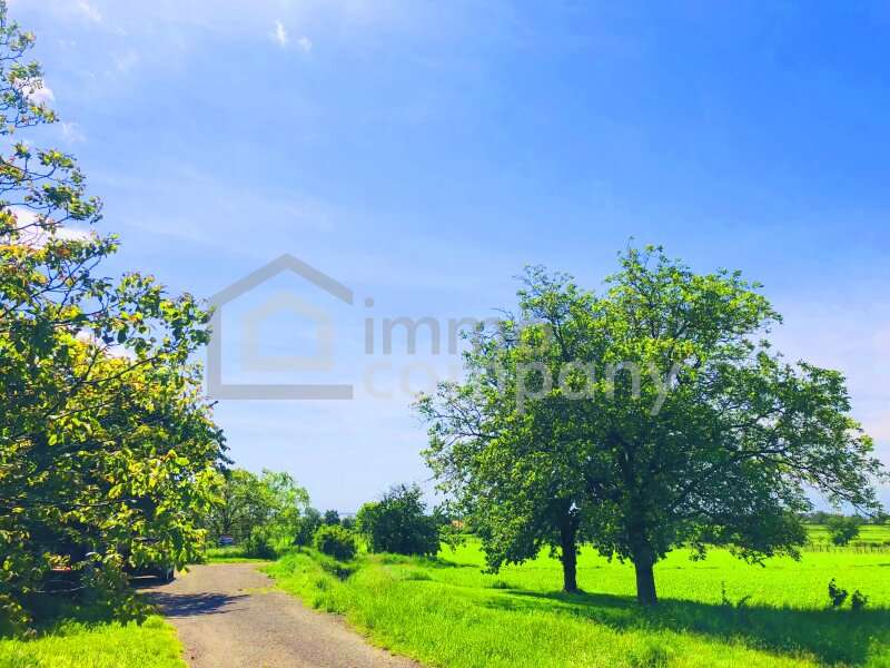 Baugrundstück in Breitenbrunn am Neusiedler See - Bild 2