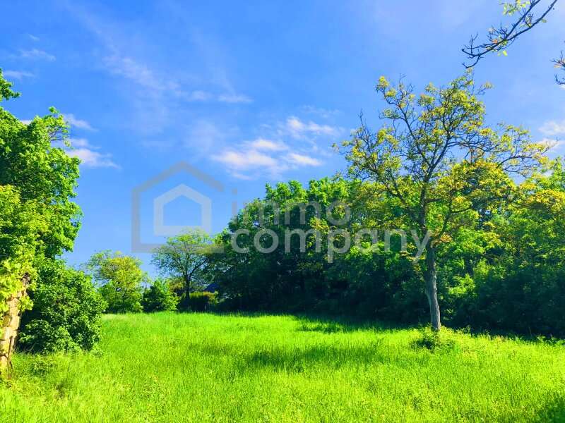 Baugrundstück in Breitenbrunn am Neusiedler See - Bild 3