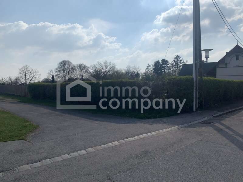 Baugrundstück in Bockfließ - Bild 2 Baugrundstück in Bockfließ - Bild 2