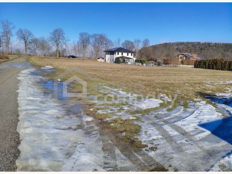 Grundstück in Katzelsdorf - Bild 3