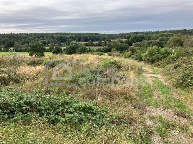 Freizeitgrundstück in Unterfrauenhaid - Bild 4 Freizeitgrundstück in Unterfrauenhaid - Bild 4