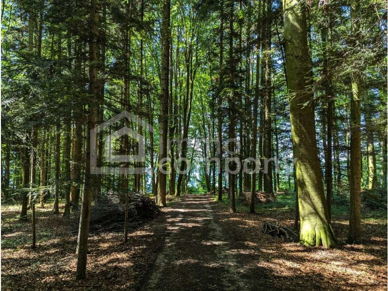 Seeliegenschaft in Mattsee - Bild 5