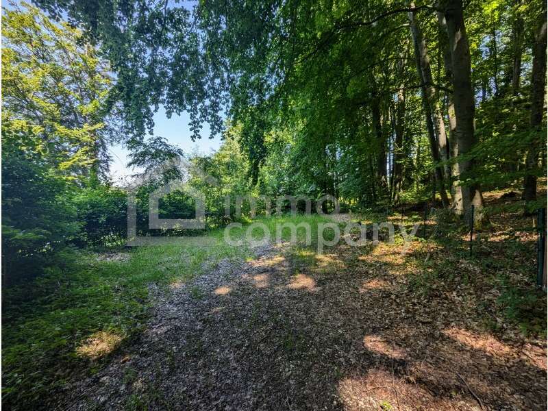 Seeliegenschaft in Mattsee - Bild 7