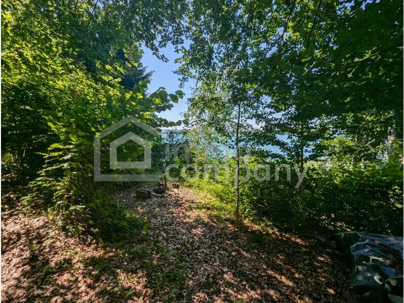 Seeliegenschaft in Mattsee - Bild 8