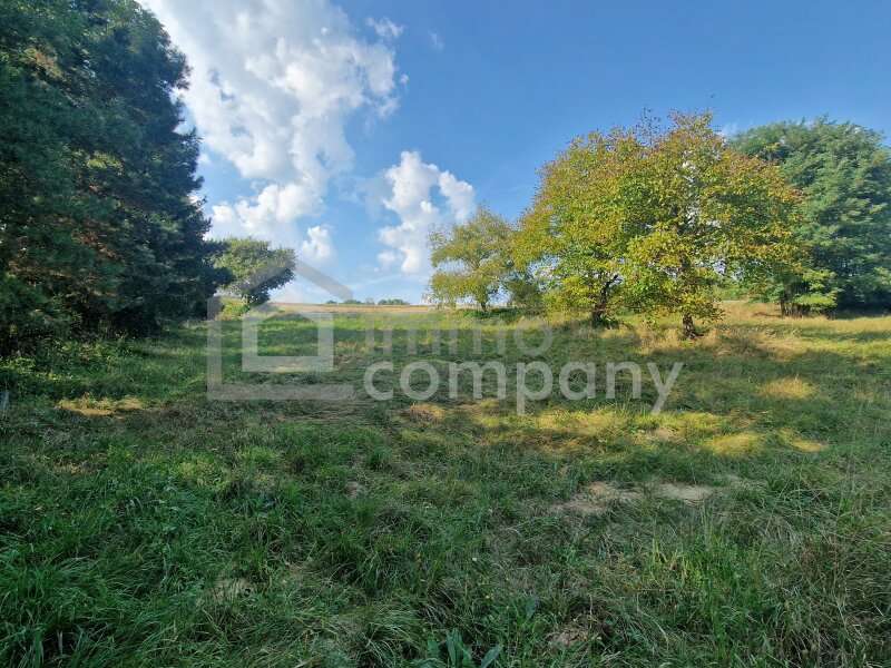 Grundstück in Liebing - Bild 3