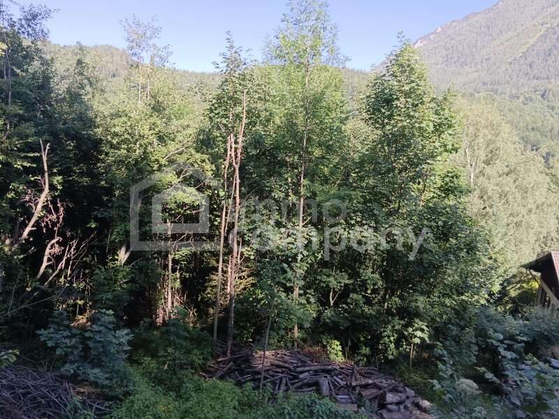 Baugrundstück in Semmering - Bild 3