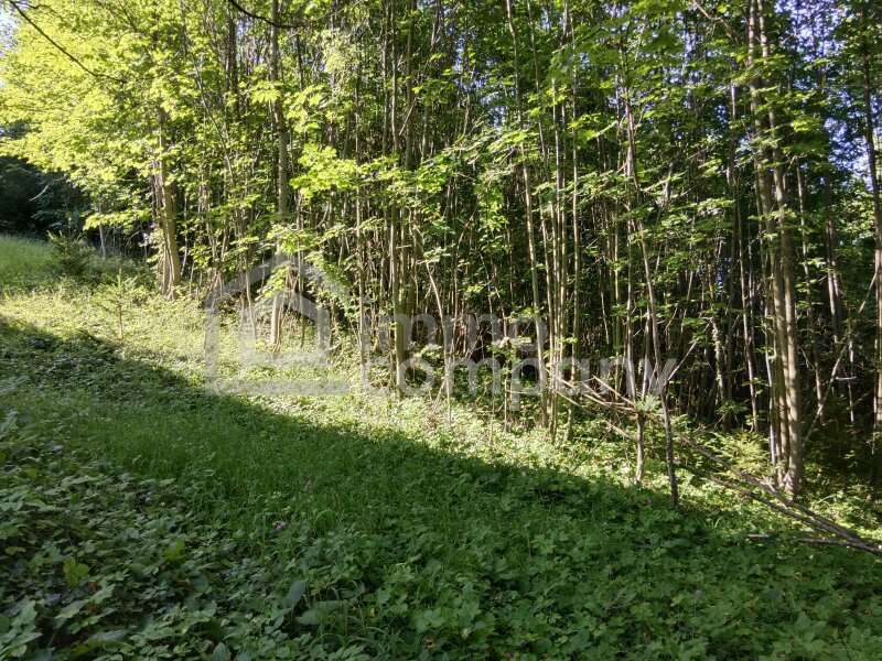 Baugrundstück in Semmering - Bild 4