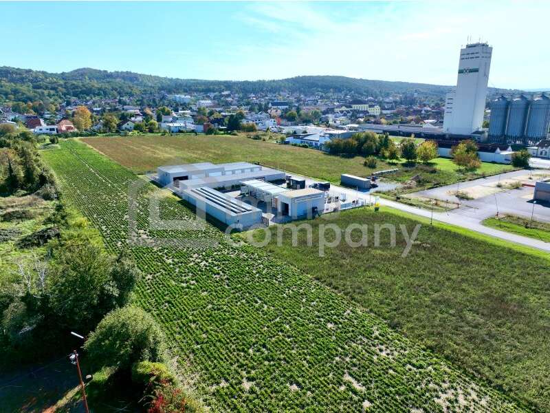 Grundstück in Mannersdorf am Leithagebirge - Bild 2