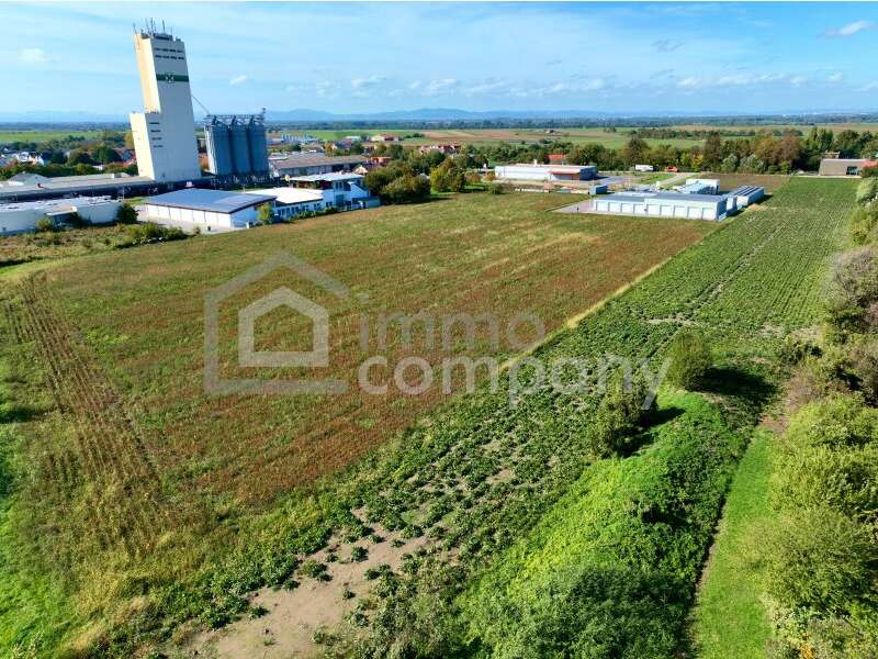 Grundstück in Mannersdorf am Leithagebirge - Bild 5