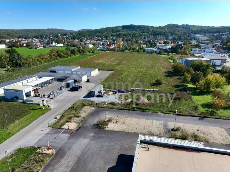 Grundstück in Mannersdorf am Leithagebirge - Bild 6