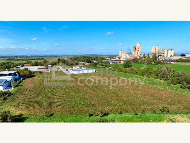 Grundstück in Mannersdorf am Leithagebirge - Bild 7