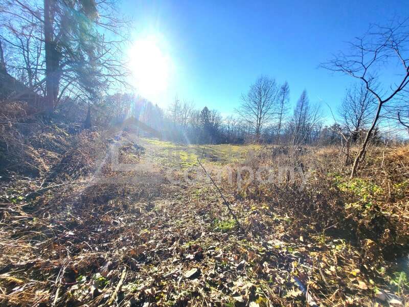 Grundstück in Mellach - Bild 2