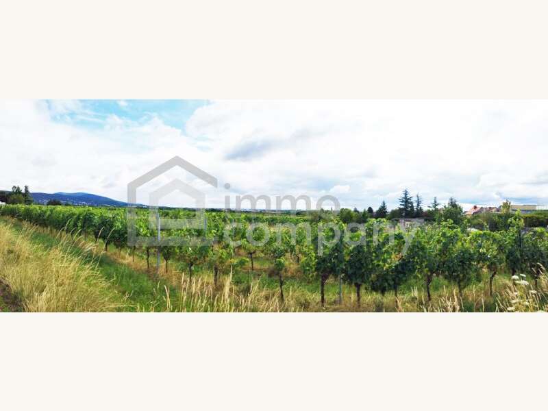 Panorama - Blick von der Strasse