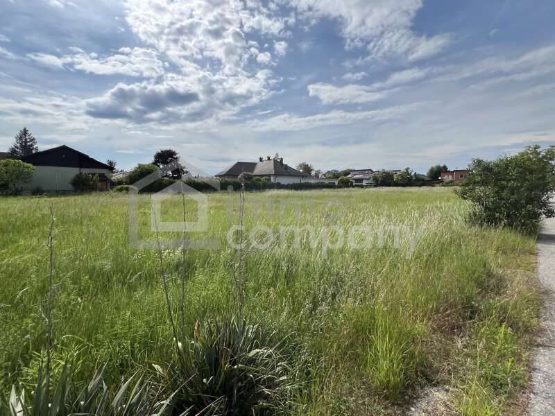 Grundstück in Zeiselmauer - Bild 2