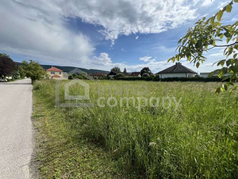 Grundstück in Zeiselmauer - Bild 3