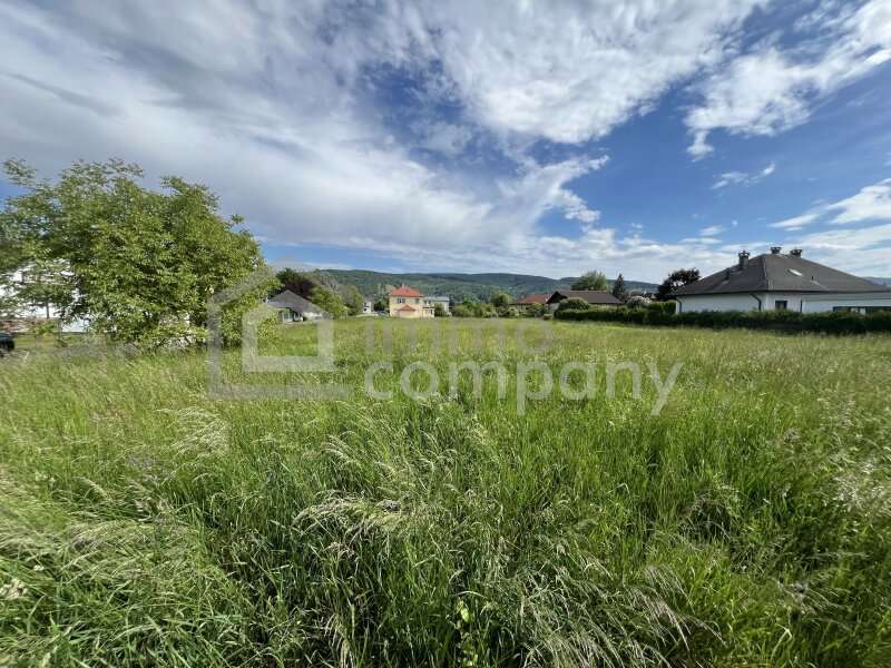 Grundstück in Zeiselmauer - Bild 5