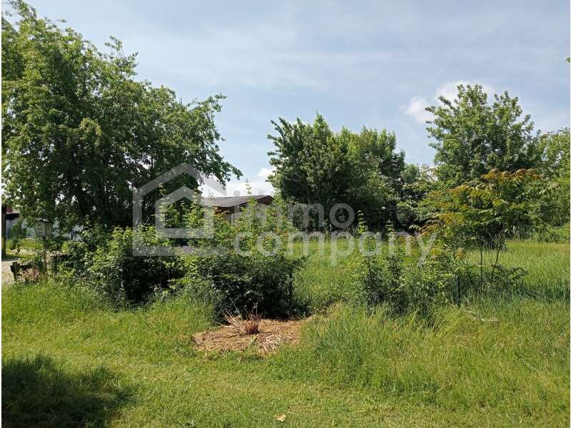 Grundstück in Sankt Andrä am Zicksee - Bild 2 Grundstück in Sankt Andrä am Zicksee - Bild 2