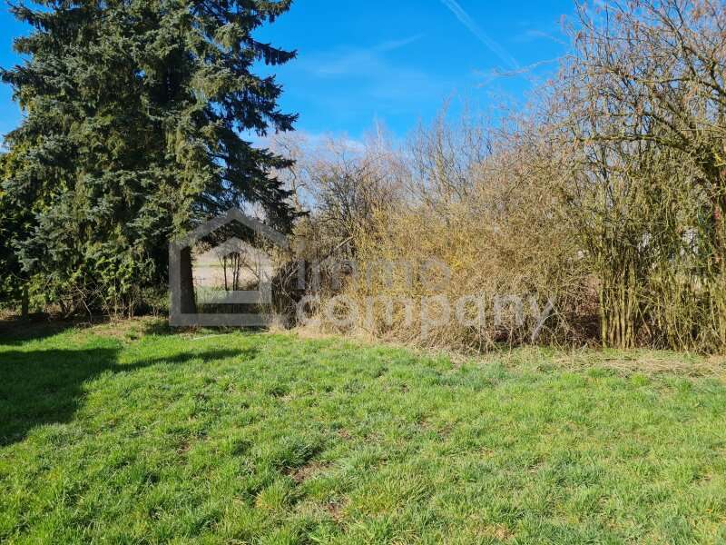 Baugrundstück in Gunskirchen - Bild 2