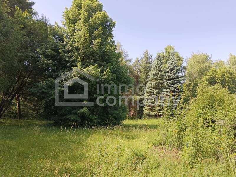 Baugrundstück in Hollenthon - Bild 2